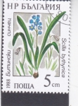Stamps Bulgaria -  FLORES-Squill de Bitinia (Scilla bithynica)