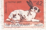 Stamps Bulgaria -  Inglés manchado (Oryctolagus cuniculus forma domestica)