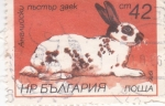 Sellos de Europa - Bulgaria -  Inglés manchado (Oryctolagus cuniculus forma domestica)