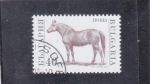 Sellos de Europa - Bulgaria -  caballo