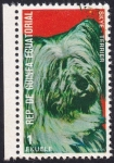 Sellos de Africa - Guinea Ecuatorial -  Skye Terrier