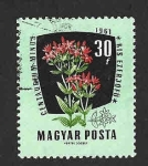 Stamps Hungary -  1419 - Flores