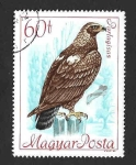 Stamps Hungary -  1891 - Congreso Internacional de Conservación de Aves