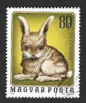 Stamps Hungary -  2325 - Pequeños Animales