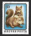Stamps Hungary -  2404 - Animales Pequeños