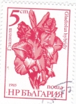 Stamps Bulgaria -  Híbrido de gladiolo
