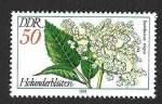 Stamps Germany -  1880 - Plantas Medicinales (DDR)