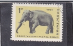 Stamps Bulgaria -  elefante