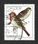 Stamps Germany -  1979 - Pájaros Cantores (DDR)