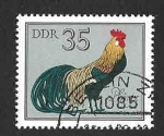 Stamps Germany -  1986 - Gallo Alemán (DDR)