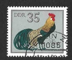 Sellos de Europa - Alemania -  1986 - Gallo Alemán (DDR)