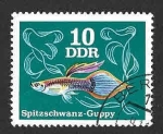 Stamps Germany -  1769 - Pez Guppy (DDR)