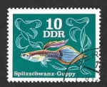 Sellos de Europa - Alemania -  1769 - Pez Guppy (DDR)