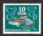 Sellos de Europa - Alemania -  1769 - Pez Guppy (DDR)