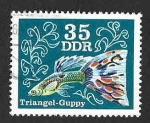 Sellos de Europa - Alemania -  1772 - Pez Guppy (DDR)