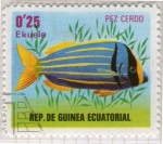 Stamps Equatorial Guinea -  65  Pez cerdo