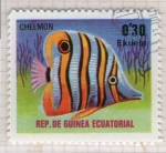 Stamps : Africa : Equatorial_Guinea :  68  Chelmon