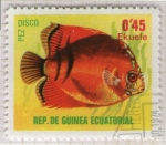 Sellos de Africa - Guinea Ecuatorial -  71  Pez disco