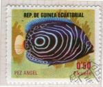 Sellos de Africa - Guinea Ecuatorial -  79  Pez angel