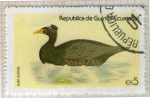 Stamps : Africa : Equatorial_Guinea :  92  Surfscoter