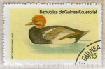 Sellos de Africa - Guinea Ecuatorial -  94  Red crested wing duck