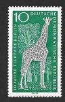 Stamps Germany -  759 - X Aniversario del Zoo de Berlín (DDR)
