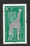 Stamps Germany -  759 - X Aniversario del Zoo de Berlín (DDR)