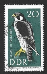 Stamps Germany -  917 - Halcón Peregrino (DDR)