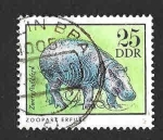 Sellos de Europa - Alemania -  1634 - Hipopótamo (DDR)