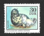 Stamps Germany -  1635 - Foca Báltica (DDR)