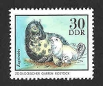 Sellos de Europa - Alemania -  1635 - Foca Báltica (DDR)