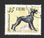 Stamps Germany -  1753 - Schnauzer Gigante (DDR)