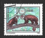 Stamps Germany -  2114 - Gato Montés (DDR)