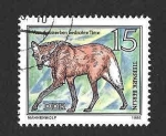 Stamps Germany -  2115 - Coyote (DDR)