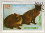 Sellos del Mundo : Africa : Guinea_Ecuatorial : 144  Gatos Siameses