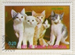 Stamps Equatorial Guinea -  146  Gatos europeos
