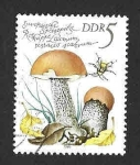 Stamps Germany -  2137 - Setas Comestibles (DDR)