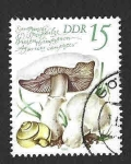 Stamps Germany -  2139 - Setas Comestibles (DDR)