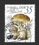 Stamps Germany -  2140 - Setas Comestibles (DDR)