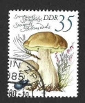 Sellos de Europa - Alemania -  2140 - Setas Comestibles (DDR)