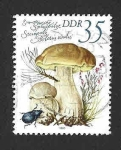 Sellos de Europa - Alemania -  2140 - Setas Comestibles (DDR)
