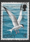 Sellos de Europa - Isla de Jersey -  aves