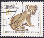 Sellos de Europa - Alemania -  León - panthera leo
