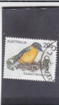 Sellos de Oceania - Australia -  ave