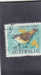 Sellos de Oceania - Australia -  ave