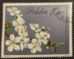 Stamps Poland -  Flores
