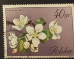 Stamps Poland -  Flores