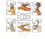 Stamps Bulgaria -  CERVIDOS