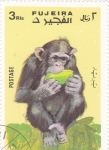 Stamps United Arab Emirates -  SIMIO
