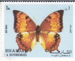 Sellos de Asia - Emiratos rabes Unidos -  Mariposa
